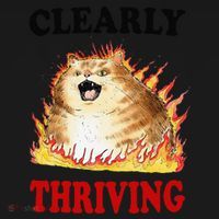 Clearly Thriving Funny Fire Cat Meme Cat Lover Cat Mom Toddler Hoodie thumb 2