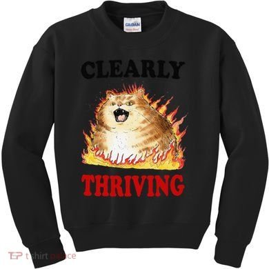 Clearly Thriving Funny Fire Cat Meme Cat Lover Cat Mom Kids Sweatshirt