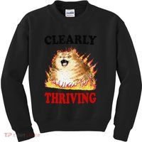 Clearly Thriving Funny Fire Cat Meme Cat Lover Cat Mom Kids Sweatshirt thumb 0
