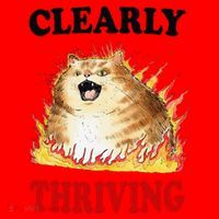Clearly Thriving Funny Fire Cat Meme Cat Lover Cat Mom Santa Hat thumb 1