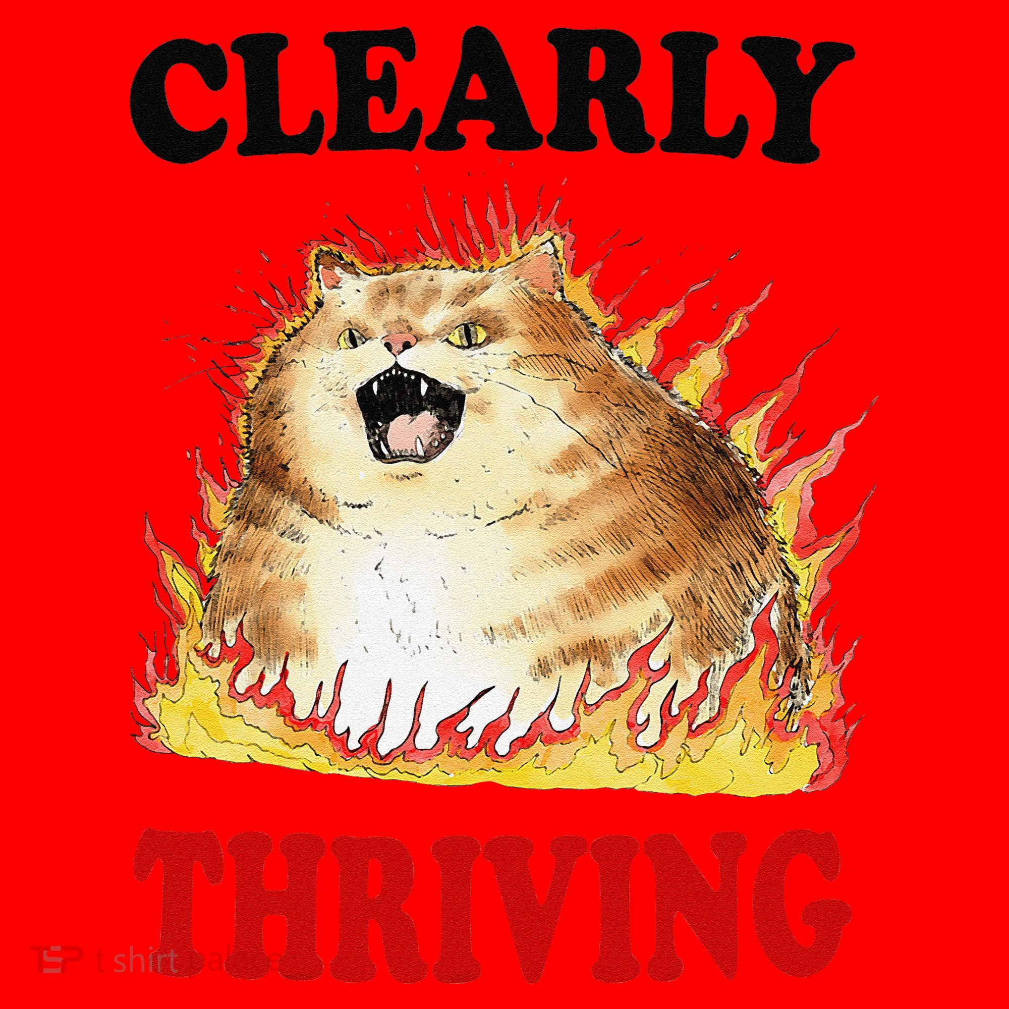 Clearly Thriving Funny Fire Cat Meme Cat Lover Cat Mom Santa Hat