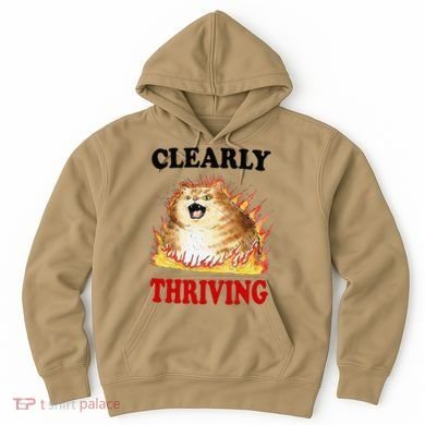 Clearly Thriving Funny Fire Cat Meme Cat Lover Cat Mom Hoodie