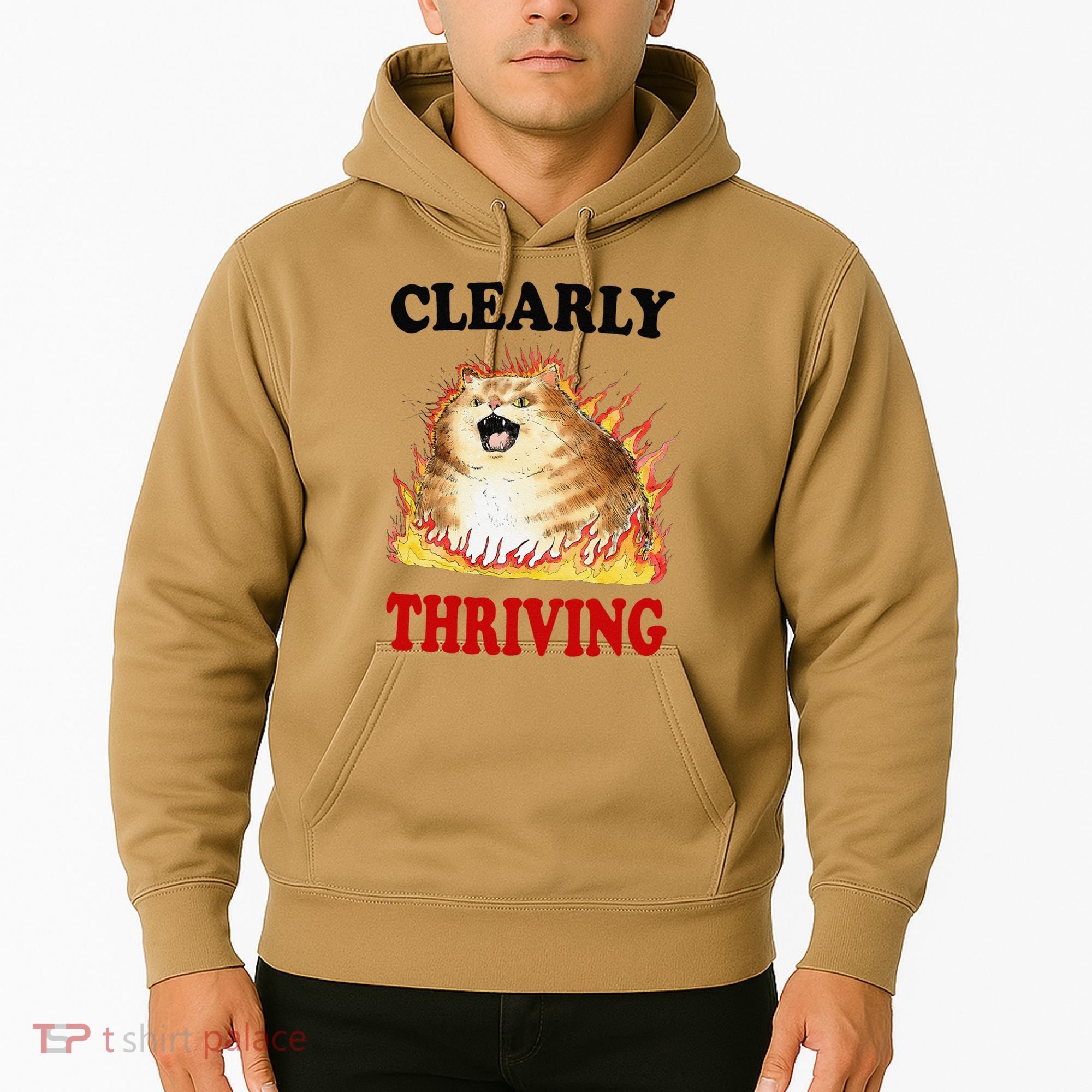 Clearly Thriving Funny Fire Cat Meme Cat Lover Cat Mom Hoodie