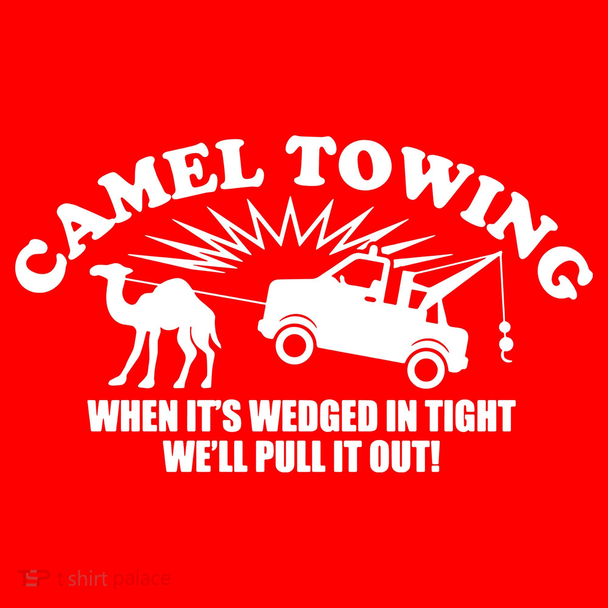 Camel Towing Funny Santa Hat