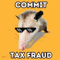 Commit Tax Fraud Sustainable Knit Beanie thumb 2