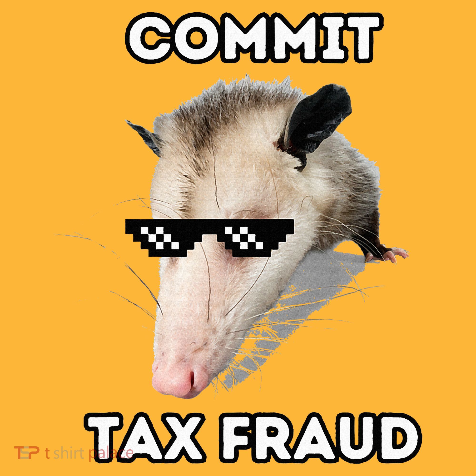 Commit Tax Fraud Sustainable Knit Beanie
