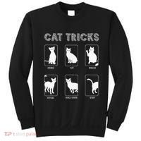 Cat Tricks Funny Kitten Kitty Pet Owner Gift Sweatshirt thumb 0