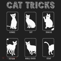 Cat Tricks Funny Kitten Kitty Pet Owner Gift Beanie thumb 2