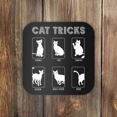 Cat Tricks Funny Kitten Kitty Pet Owner Gift Coaster