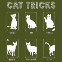 Cat Tricks Funny Kitten Kitty Pet Owner Gift The Baniff Cuffed Pom Beanie thumb 2