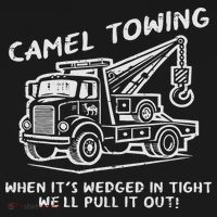 Camel Towing Funny Inappropriate Cringe Adult Humor Joke Women's Hoodie thumb 2
