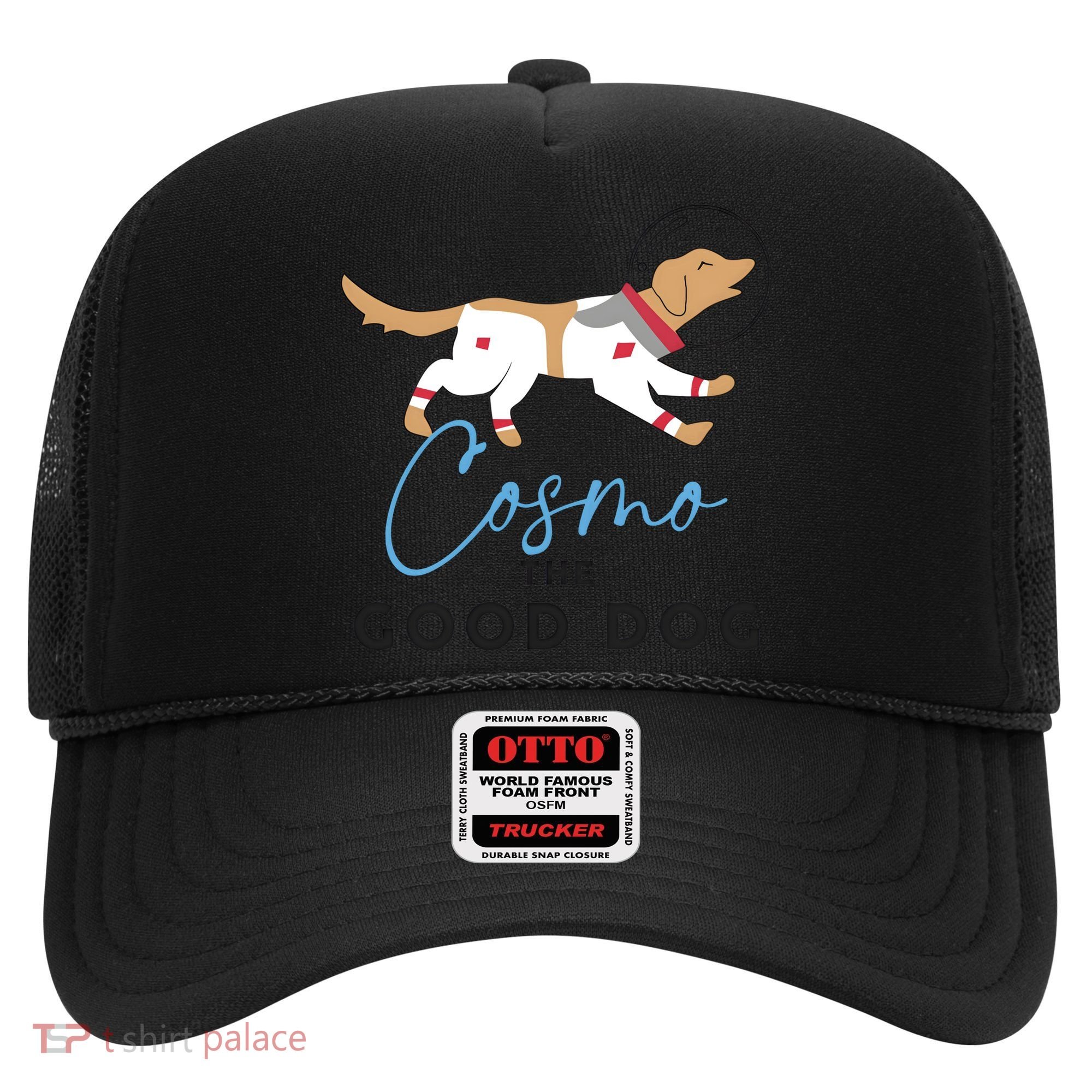 Cosmo The Good Dog Rocket Lylla Floor & Teefs Space Dog Hat