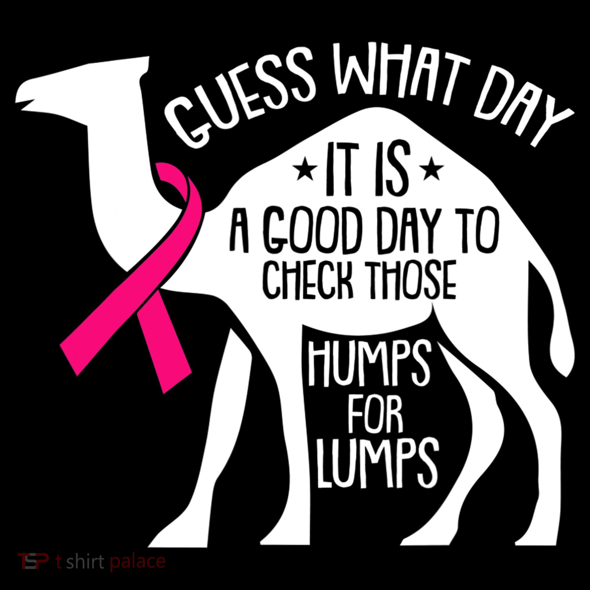 Check Those Humps Lumps Breast Cancer Awareness Warrior Women's Hoodie
