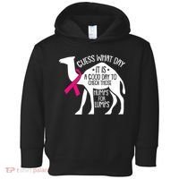 Check Those Humps Lumps Breast Cancer Awareness Warrior Toddler Hoodie thumb 0