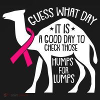 Check Those Humps Lumps Breast Cancer Awareness Warrior Visor thumb 3