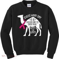 Check Those Humps Lumps Breast Cancer Awareness Warrior Kids Sweatshirt thumb 0