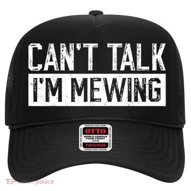 CanT Talk IM Mewing Funny Saying Hat