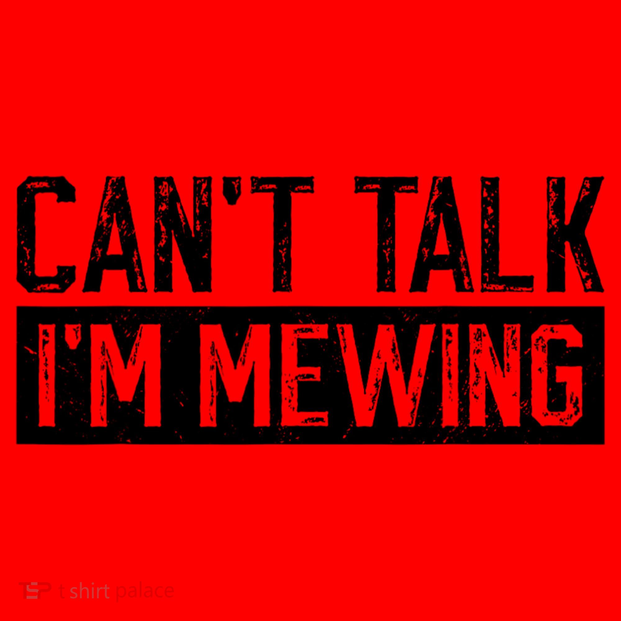 CanT Talk IM Mewing Funny Saying Santa Hat