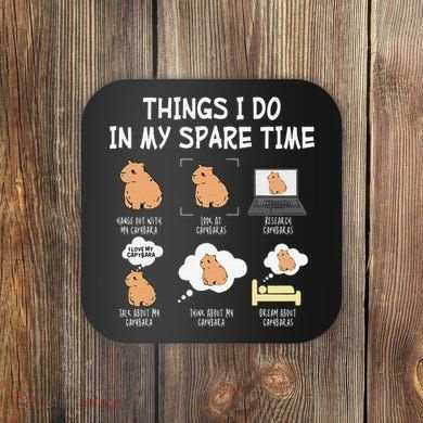 Capybara Things I Do In My Spare Time Funny Capybara Coaster