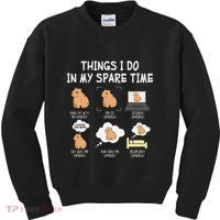 Capybara Things I Do In My Spare Time Funny Capybara Kids Sweatshirt thumb 0