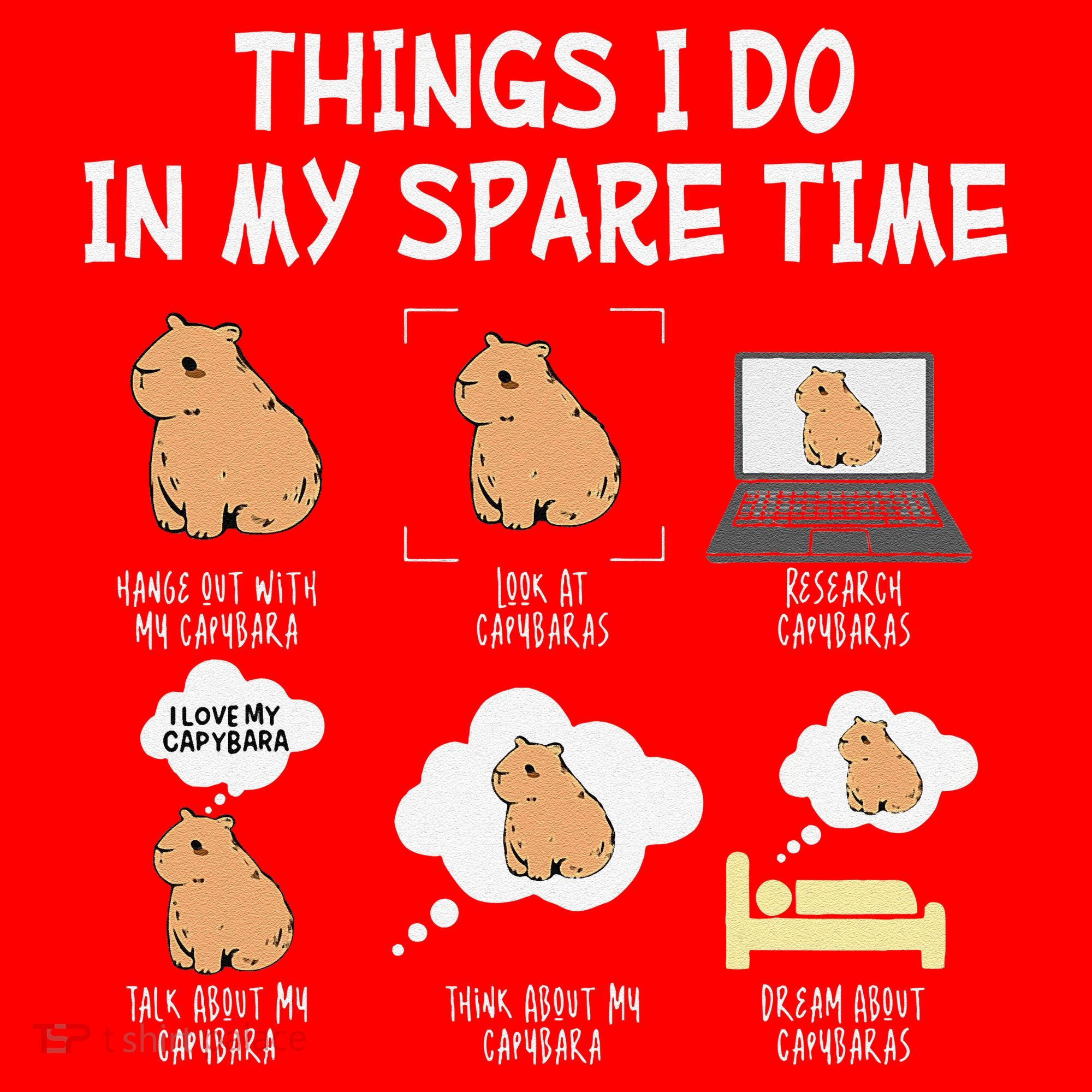 Capybara Things I Do In My Spare Time Funny Capybara Santa Hat