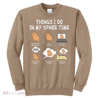 Capybara Things I Do In My Spare Time Funny Capybara Sweatshirt