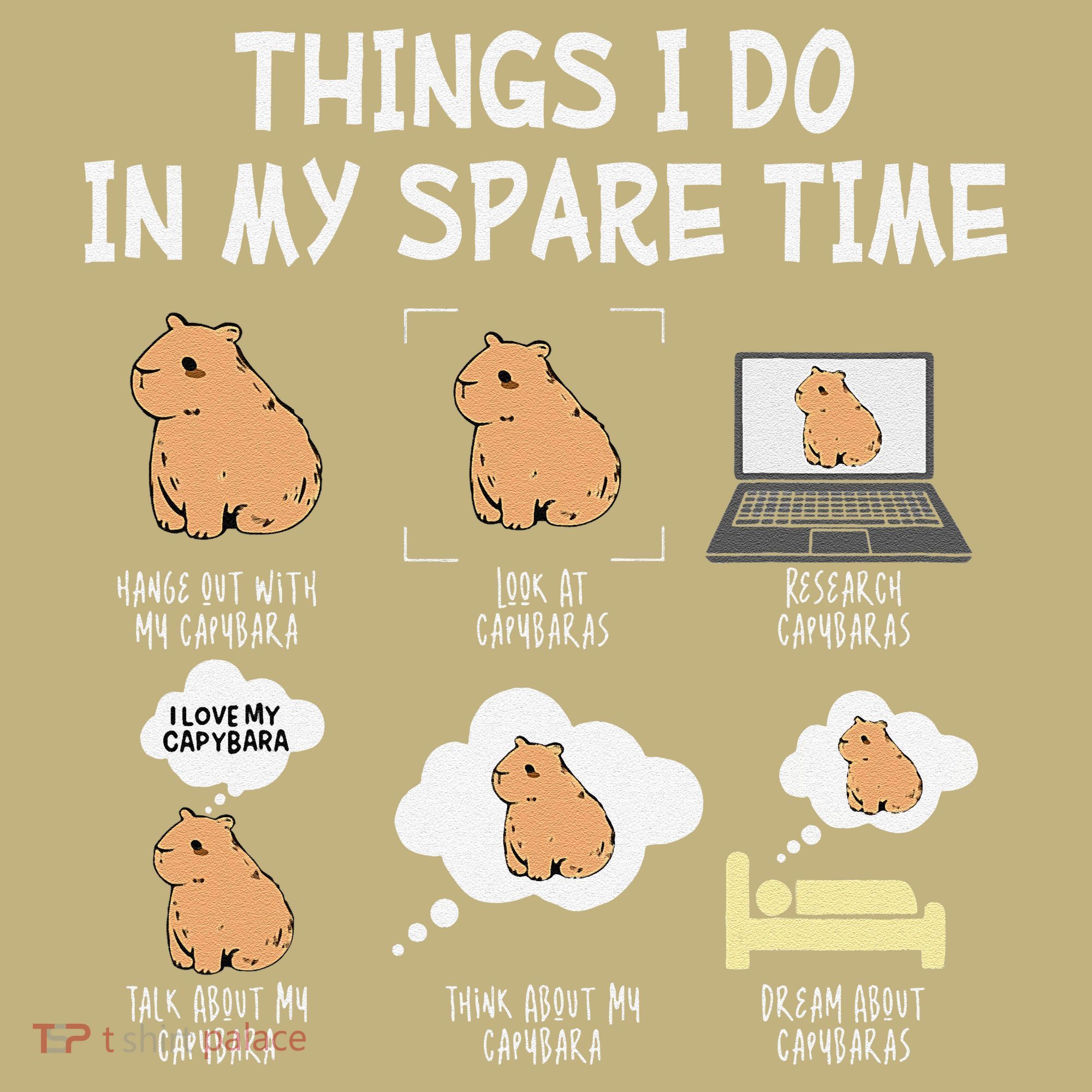 Capybara Things I Do In My Spare Time Funny Capybara T-Shirt