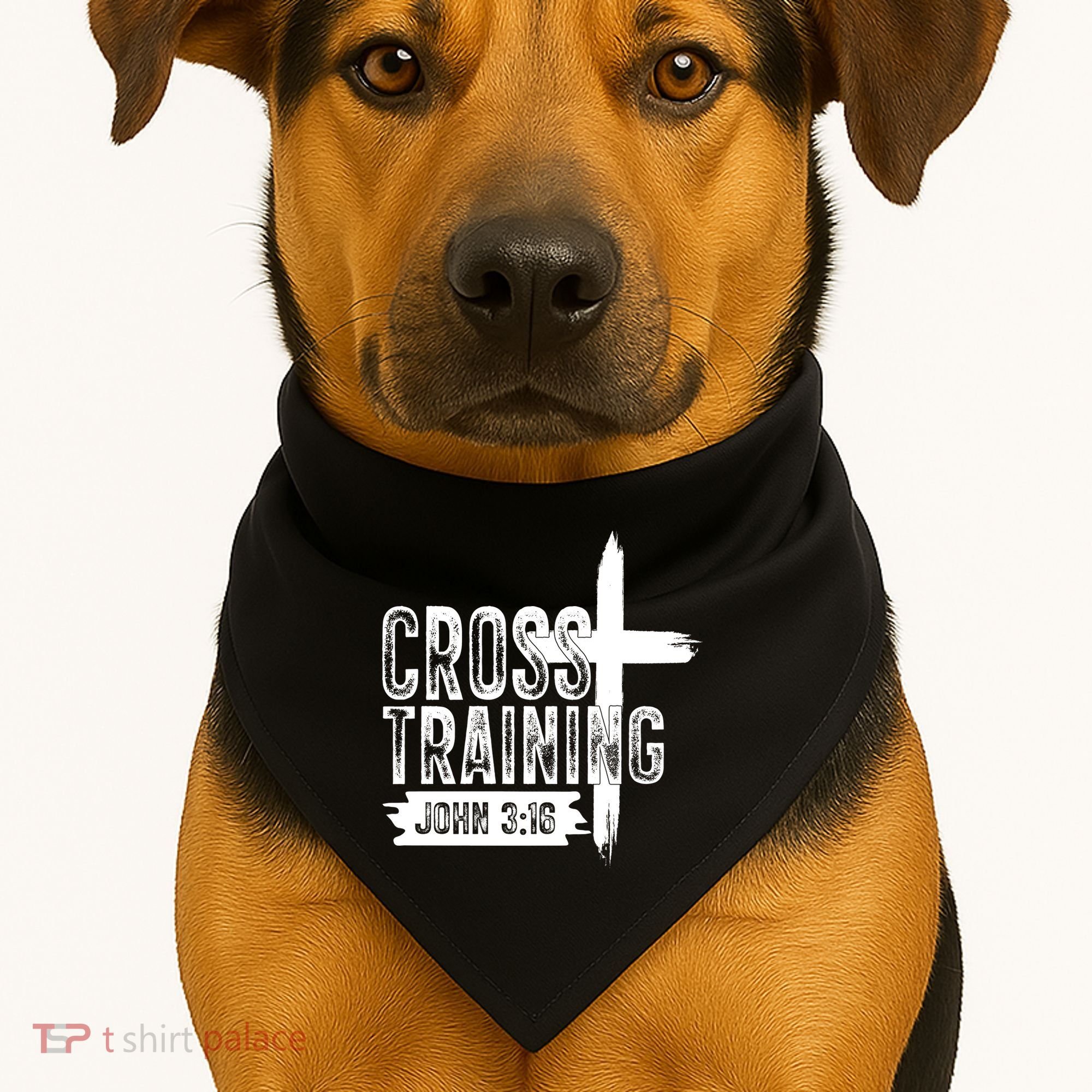 Cross Training John 3:16 USA-Made Doggie Bandana