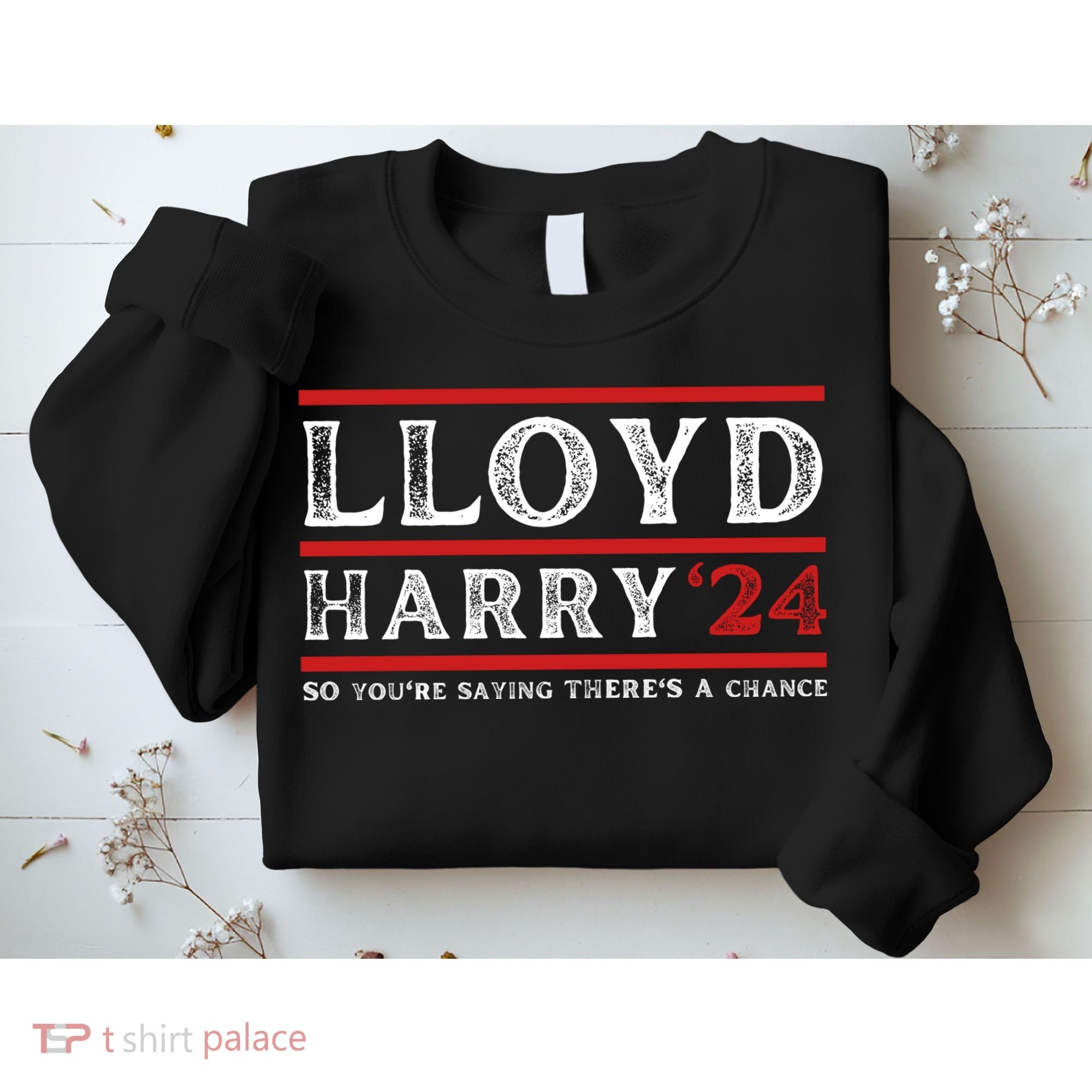 Comedy Tee Lloyd Harry 24 So Youre Saying Theres A Chancc Sweatshirt