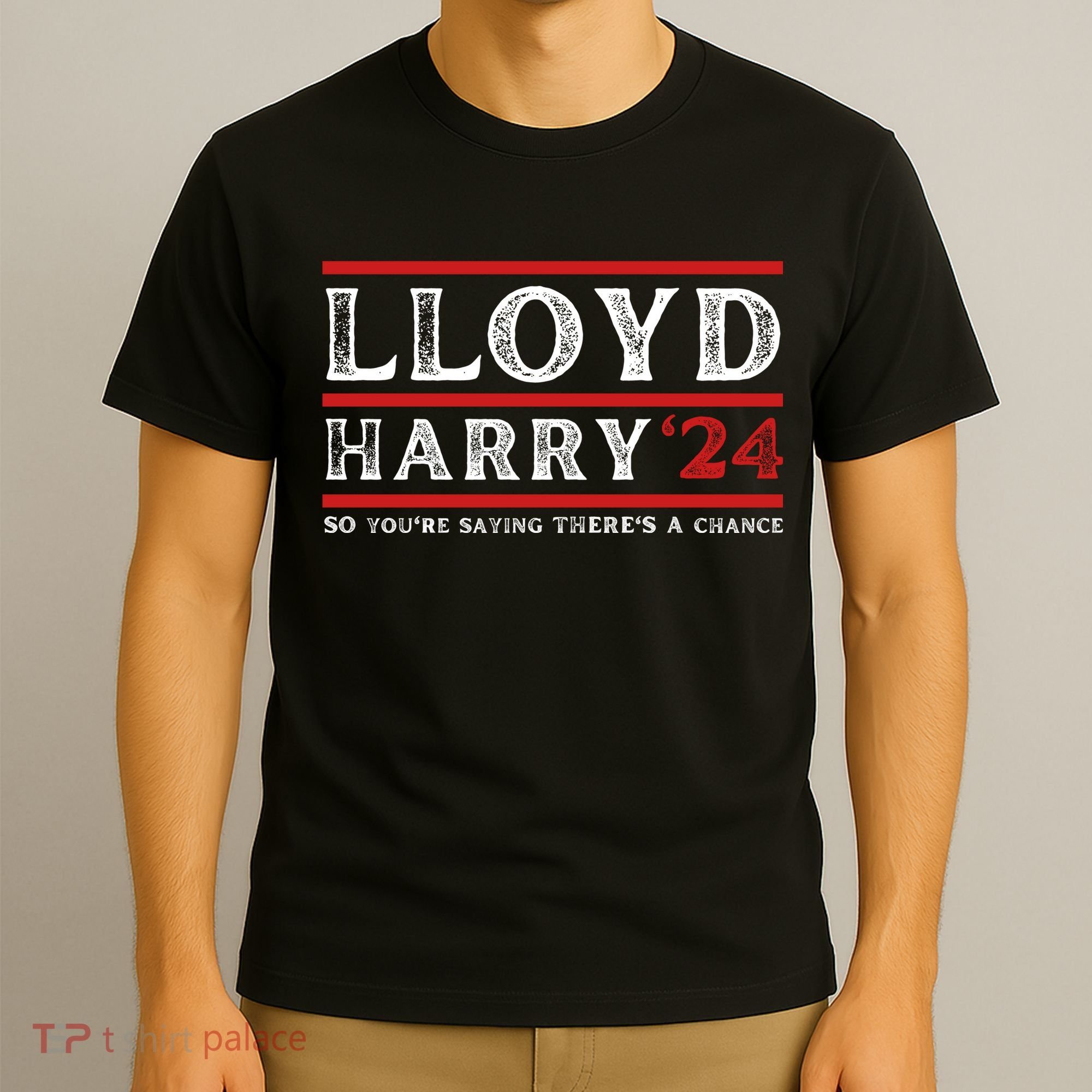 Comedy Tee Lloyd Harry 24 So Youre Saying Theres A Chancc T-Shirt