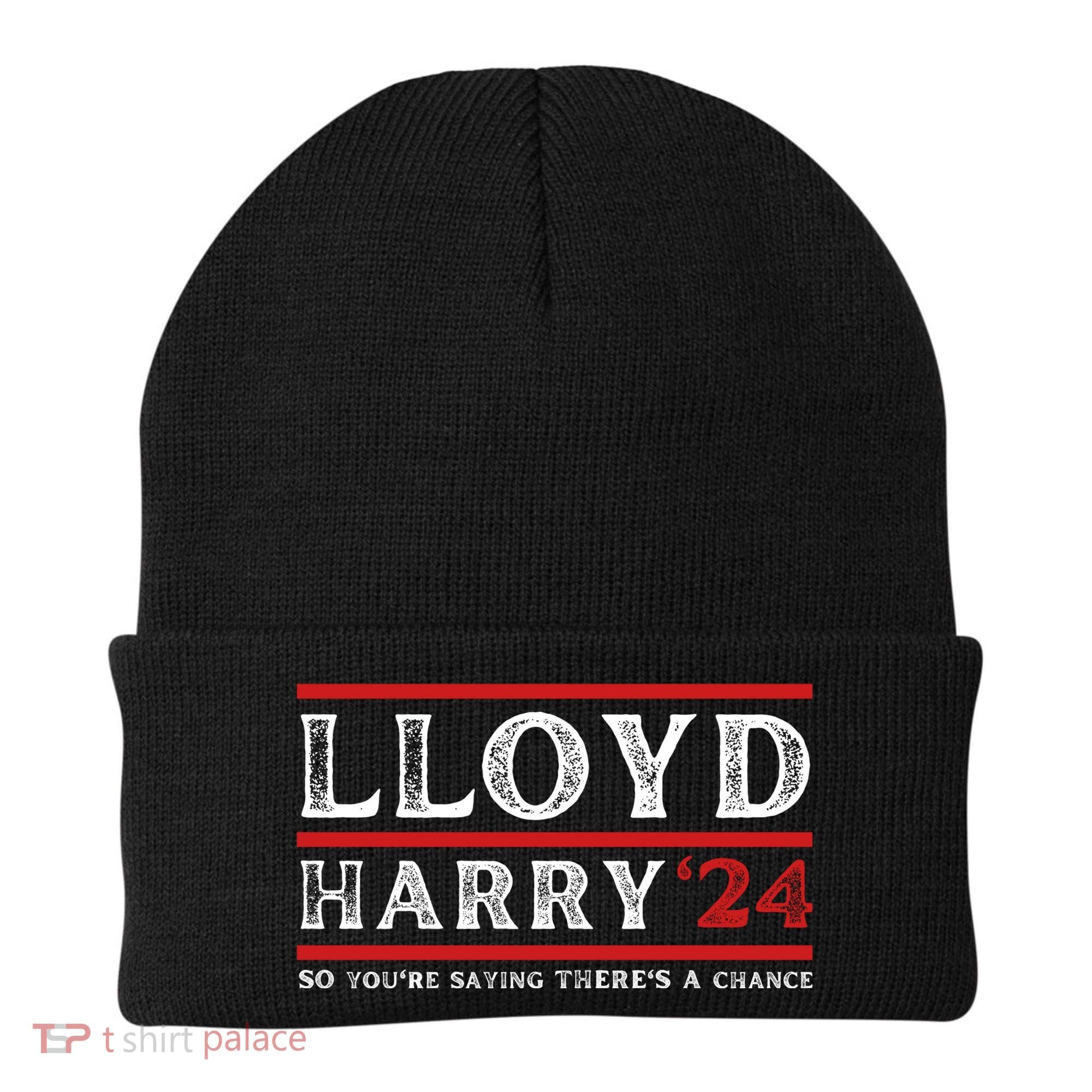 Comedy Tee Lloyd Harry 24 So Youre Saying Theres A Chancc Beanie