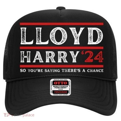 Comedy Tee Lloyd Harry 24 So Youre Saying Theres A Chancc Hat