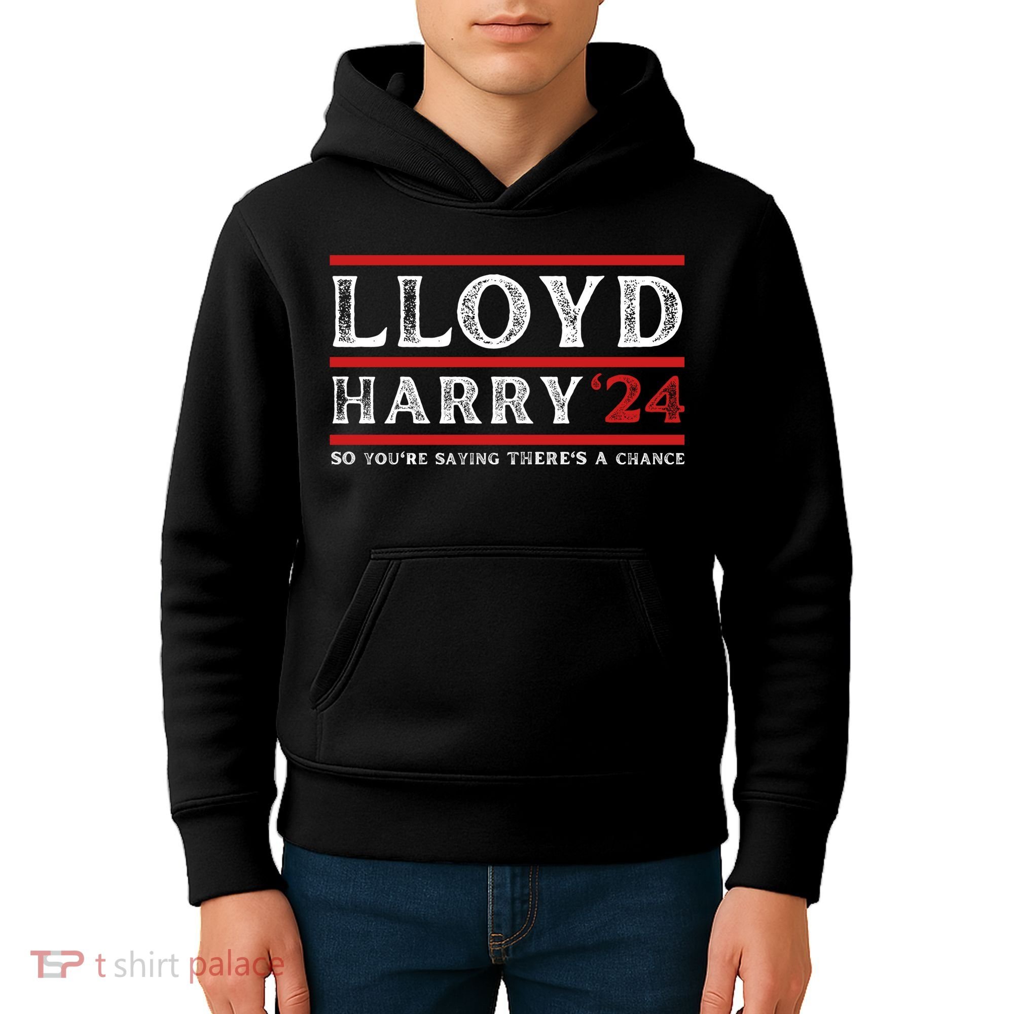 Comedy Tee Lloyd Harry 24 So Youre Saying Theres A Chancc Kids Hoodie
