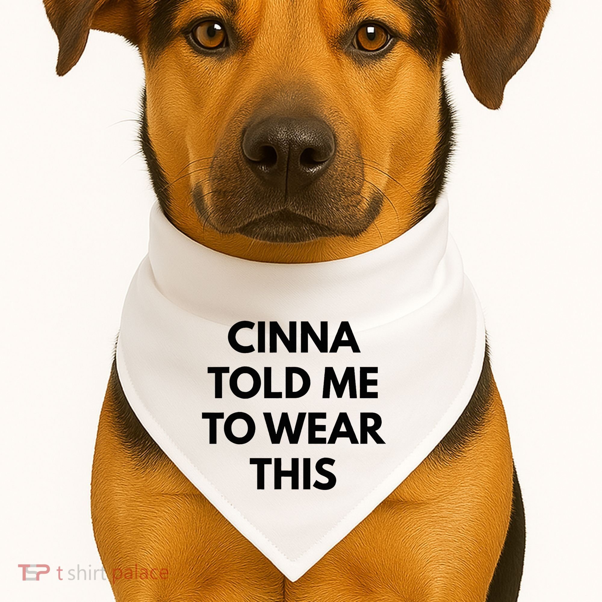 Cinna Told Me To Wear This In Black USA-Made Doggie Bandana