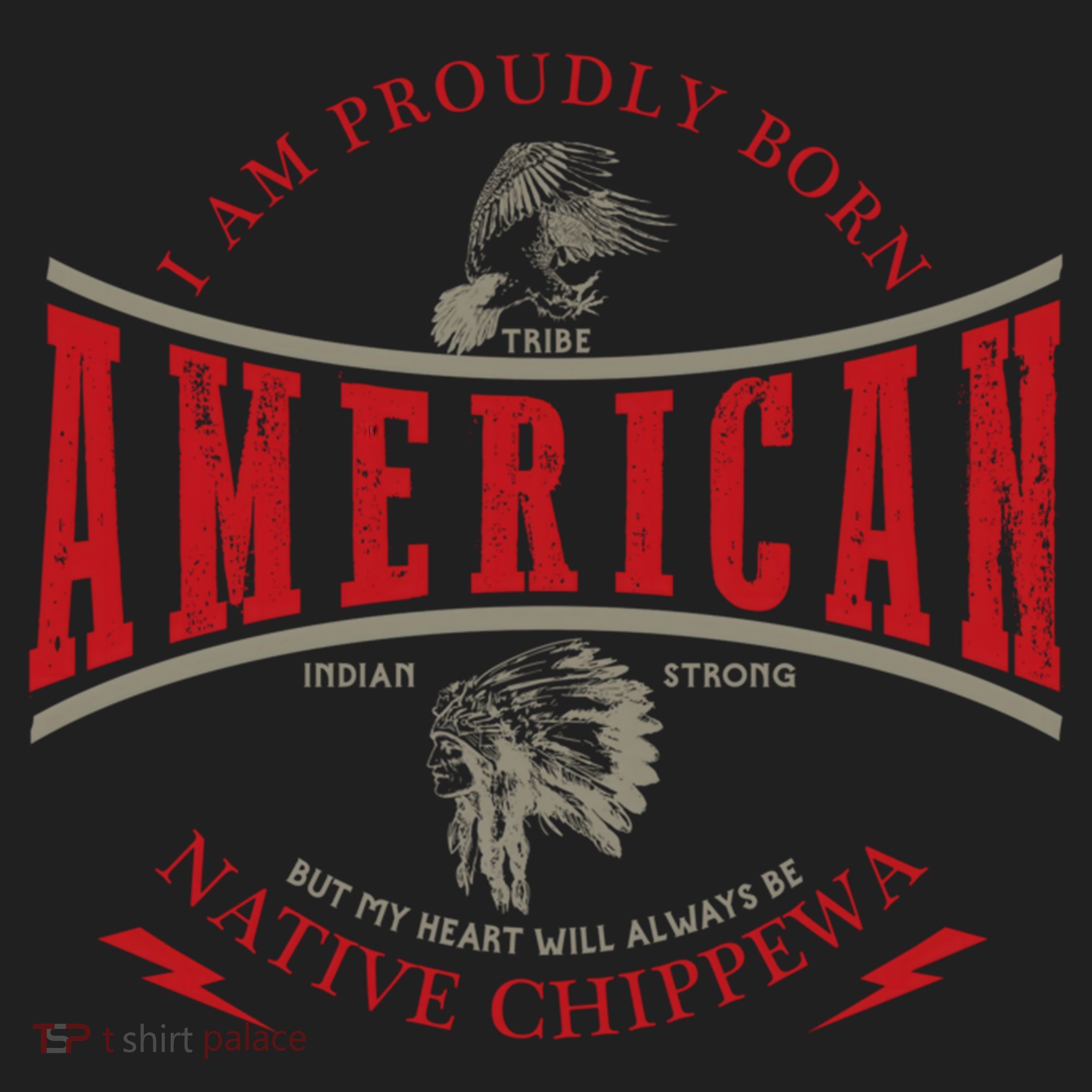 Chippewa Tribe Native American Indian Strong Pride Retro Gift Beanie