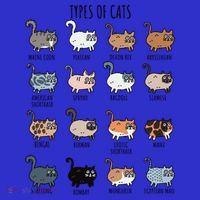 Cute Types Of Cat Lady Bir Bengal Nebelung Persian Gift T-Shirt thumb 7