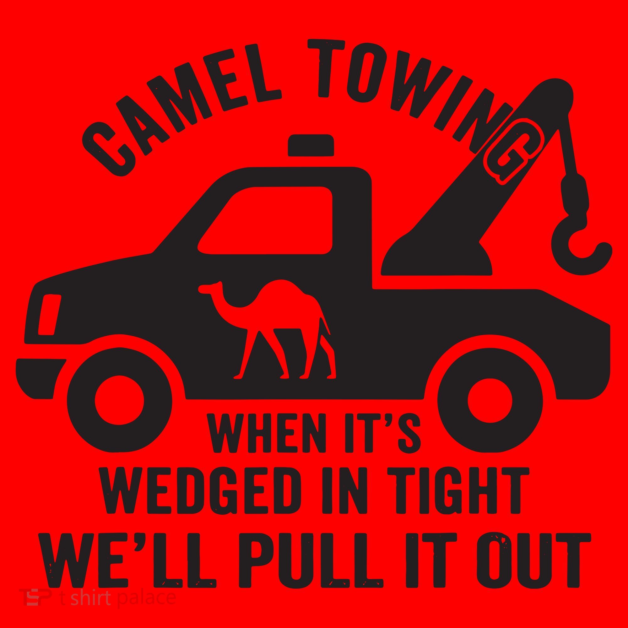 Camel Towing Retro Adult Humor Saying Funny Halloween Gift Santa Hat