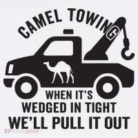 Camel Towing Retro Adult Humor Saying Funny Halloween Gift T-Shirt thumb 7