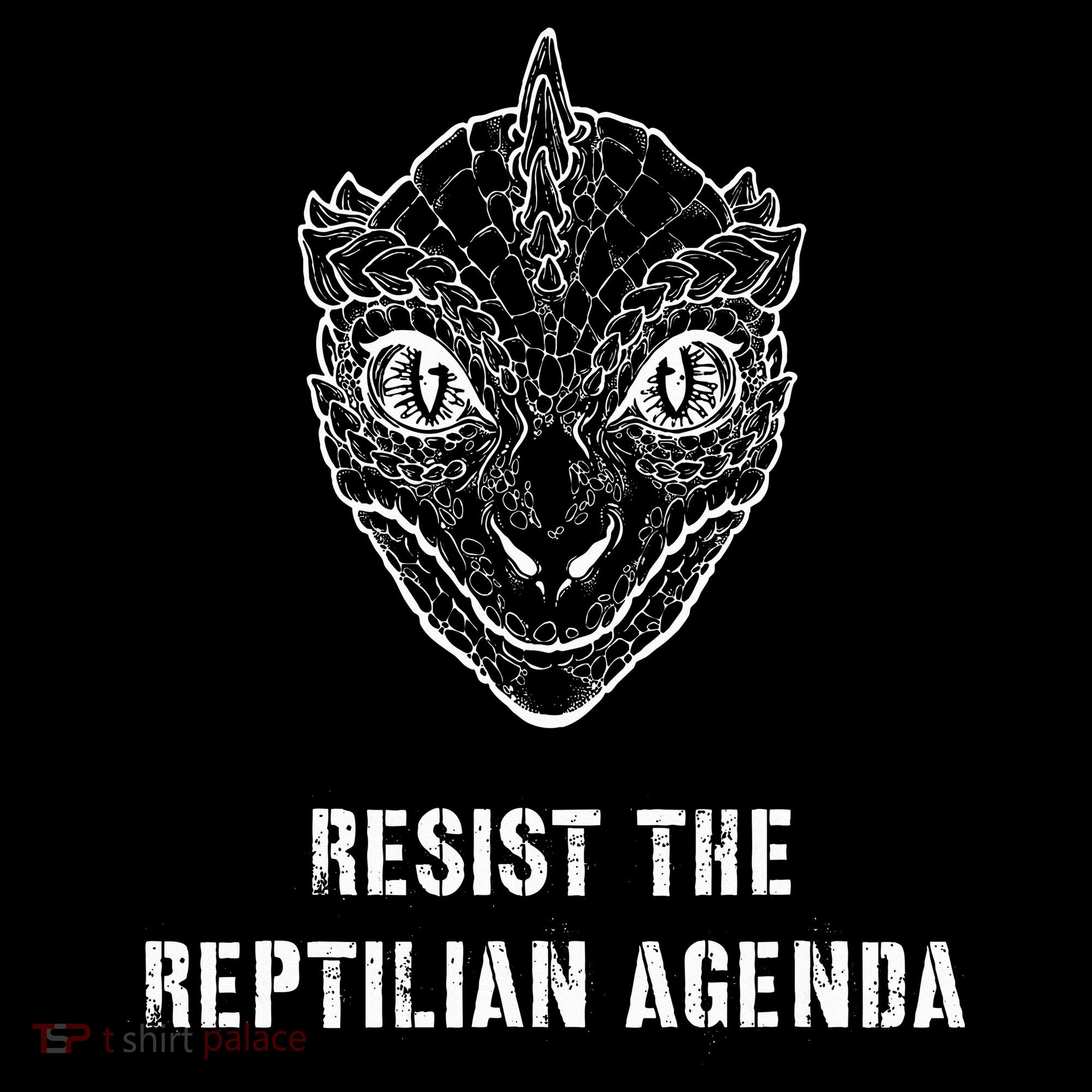 Conspiracy Theory Resist The Reptilian Agenda Women's Hoodie