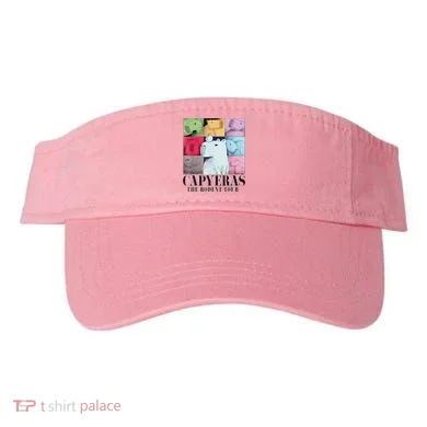 Visor