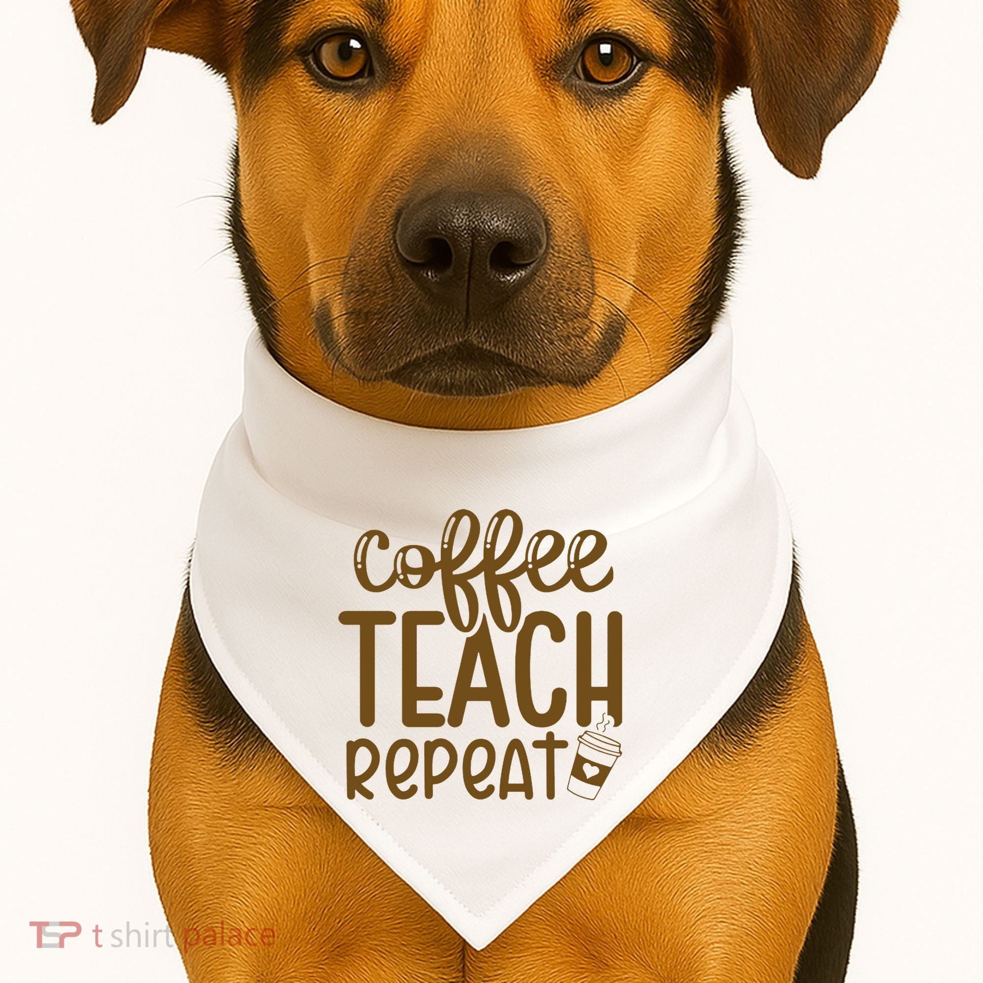 Coffee Teach Repeat USA-Made Doggie Bandana