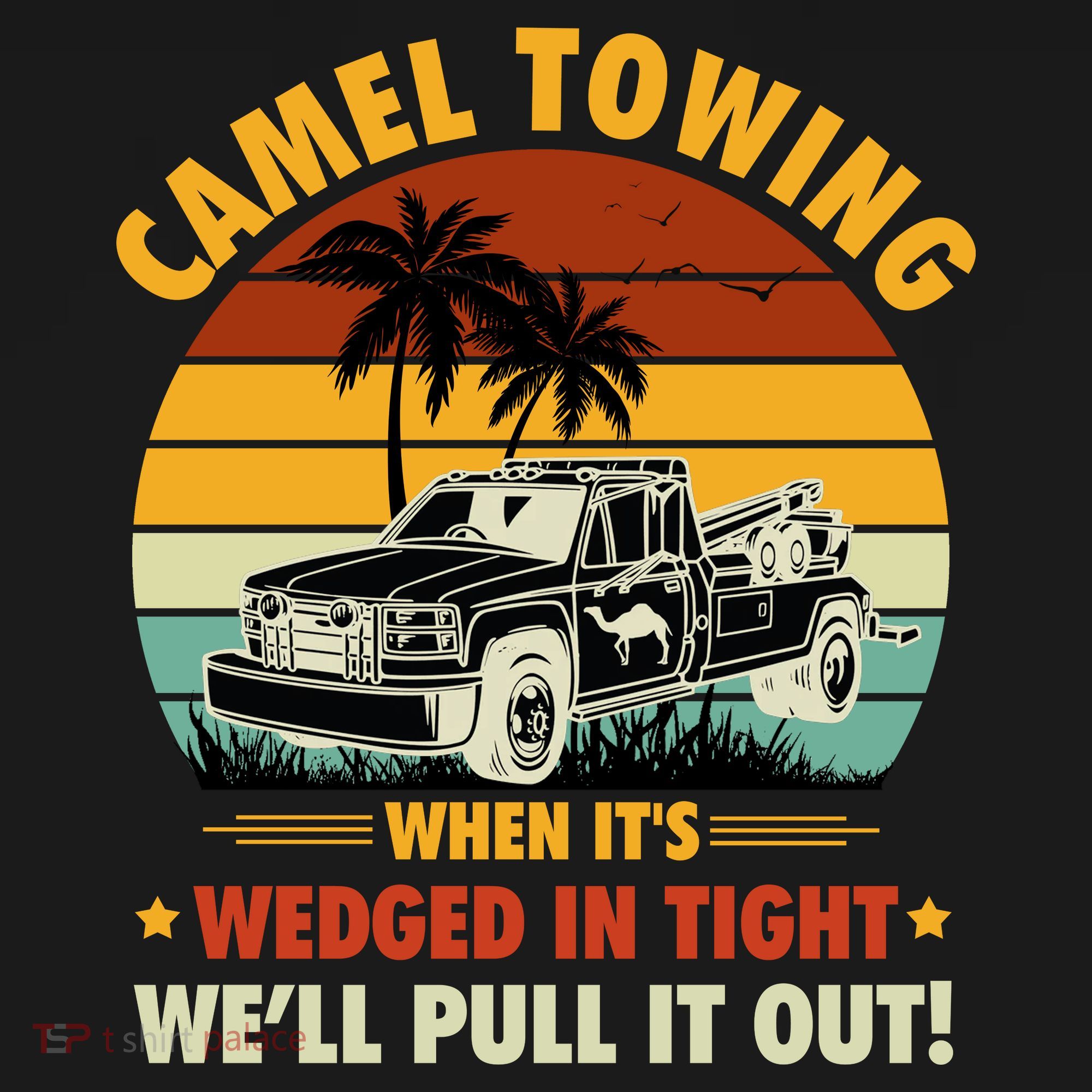 Camel Towing Retro Adult Humor Saying Funny Halloween Gift Women's Hoodie