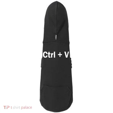 Ctrl + V Doddie Hoodie