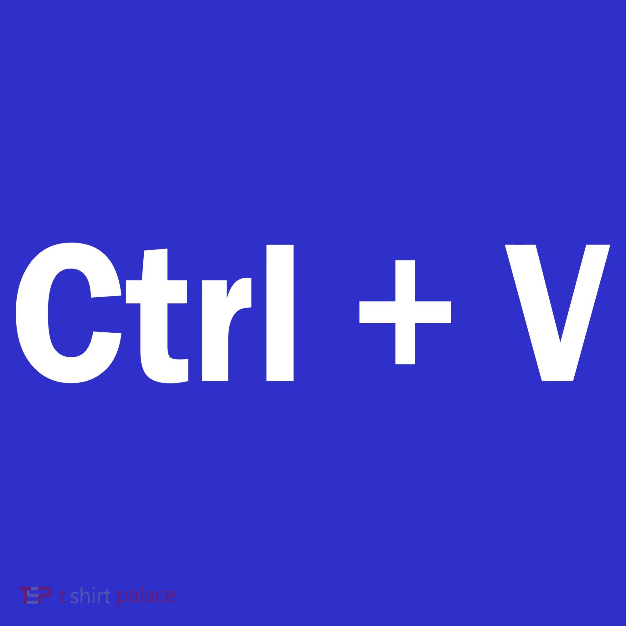 Ctrl + V Sweatshirt