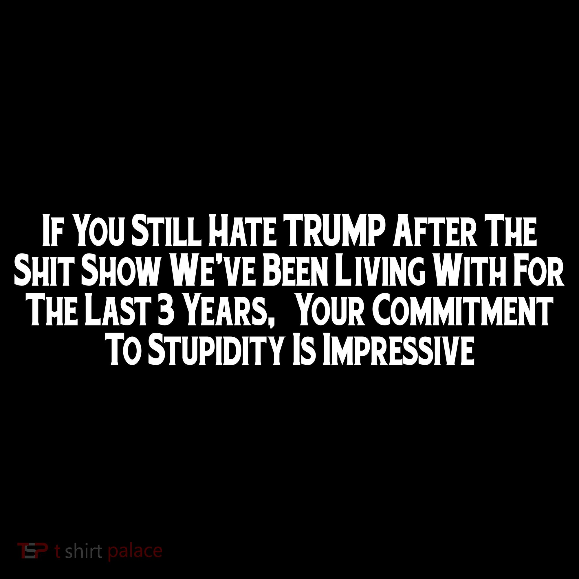 Commitment To Stupidity Trump 2024 Maga Women's Hoodie