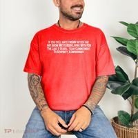 Commitment To Stupidity Trump 2024 Maga Comfort Colors T-Shirt thumb 3