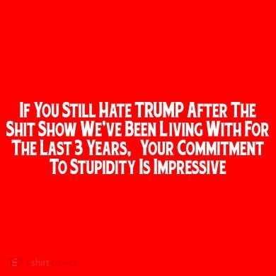 Commitment To Stupidity Trump 2024 Maga Comfort Colors T-Shirt