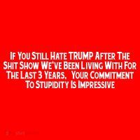 Commitment To Stupidity Trump 2024 Maga Button thumb 1