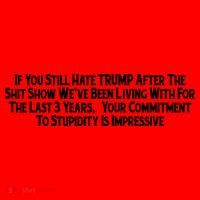 Commitment To Stupidity Trump 2024 Maga Santa Hat thumb 1