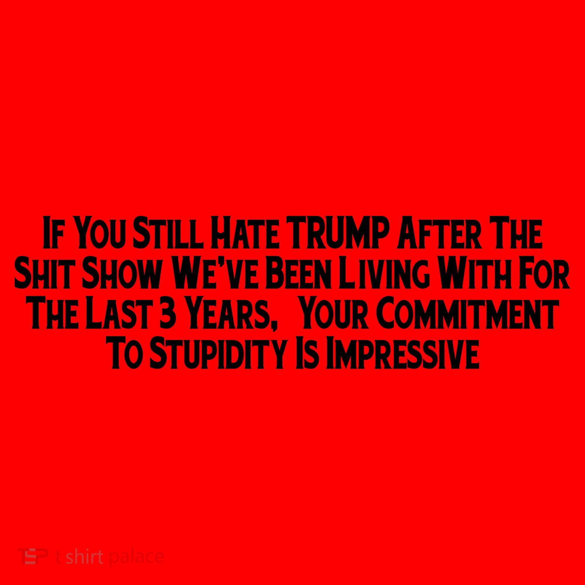 Commitment To Stupidity Trump 2024 Maga Santa Hat